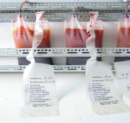 Snake Antivenom and Chemistry Behind the Mode of Action in Saving Human Lives as Well as in The Synt...